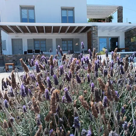 Nesaea Seafront House 펜션 *