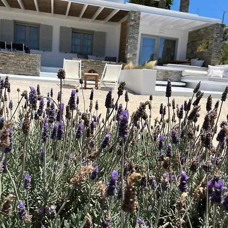 Nesaea Seafront House 度假居 *