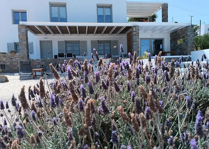 Nesaea Seafront House بيت للعطل *