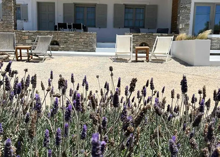 بيت للعطل Nesaea Seafront House