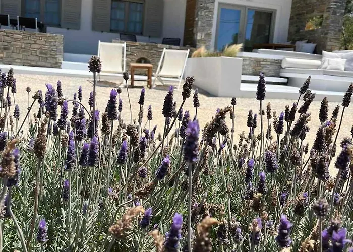 Nesaea Seafront House بيت للعطل *